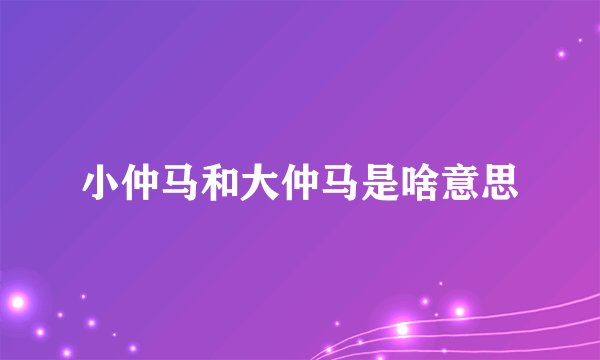 小仲马和大仲马是啥意思