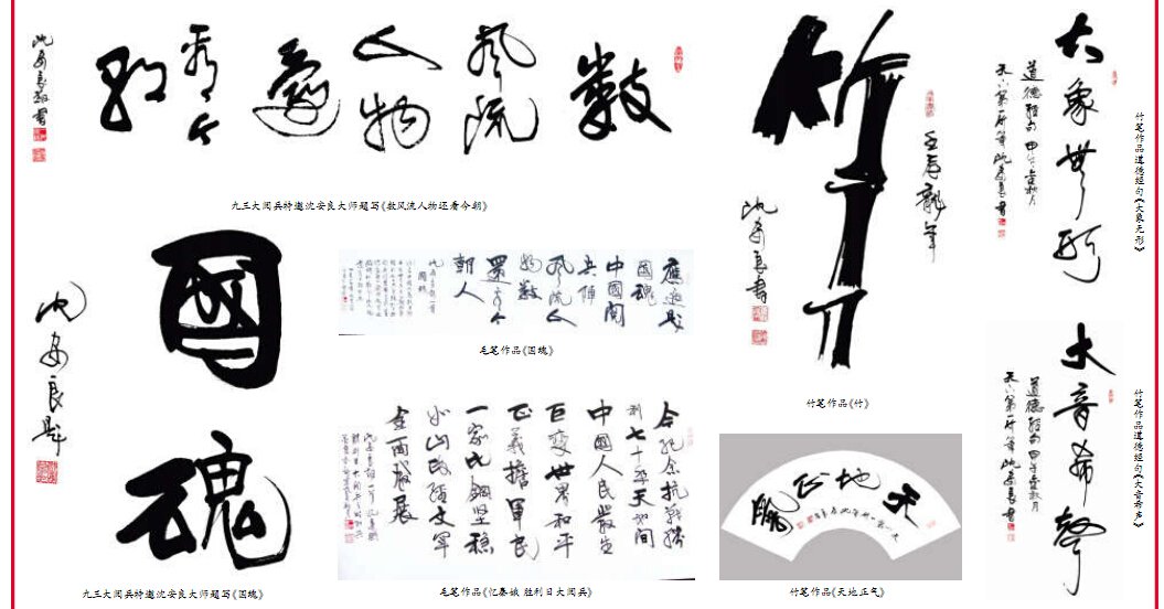 沈安良的个人简介