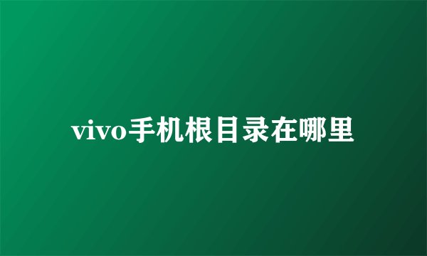 vivo手机根目录在哪里