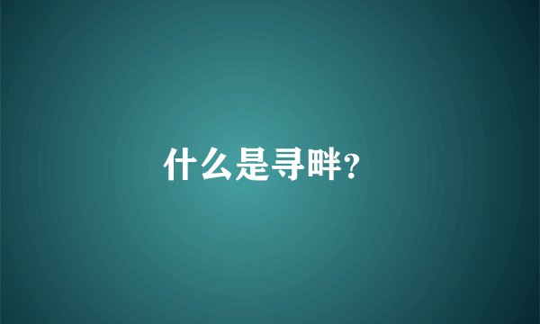 什么是寻畔？