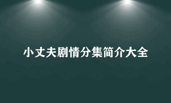 小丈夫剧情分集简介大全