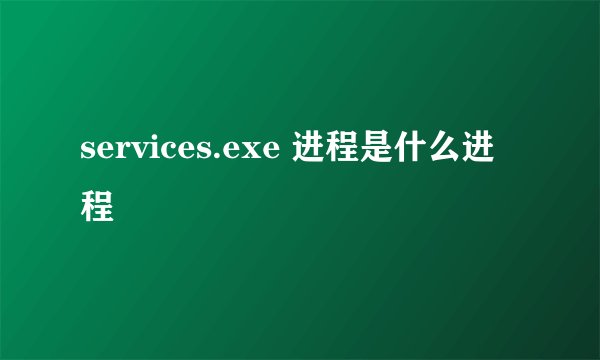 services.exe 进程是什么进程