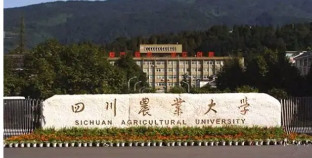 2021年四川农业大学录取分数线是多少啊？