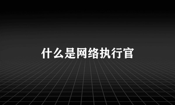 什么是网络执行官