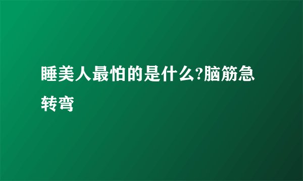 睡美人最怕的是什么?脑筋急转弯