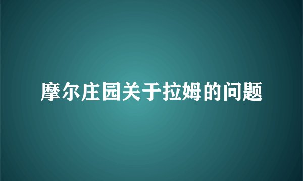 摩尔庄园关于拉姆的问题