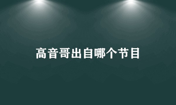 高音哥出自哪个节目