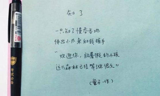 求4句现代小短诗