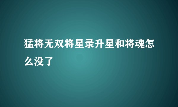 猛将无双将星录升星和将魂怎么没了
