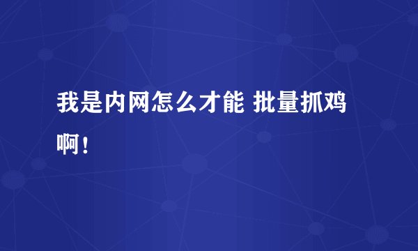 我是内网怎么才能 批量抓鸡啊！