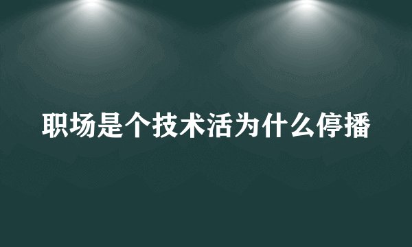 职场是个技术活为什么停播