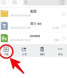 如何下载BT种子？