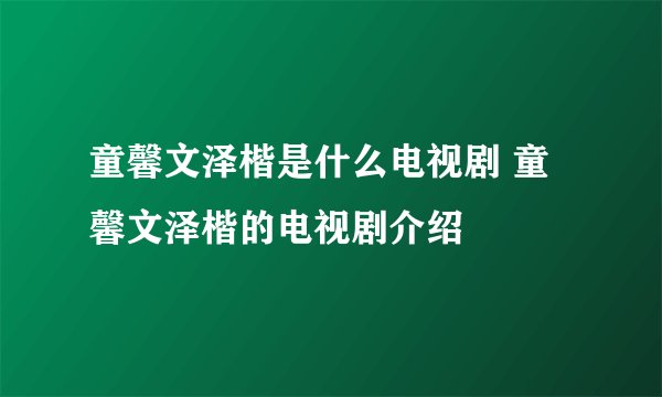 童馨文泽楷是什么电视剧 童馨文泽楷的电视剧介绍
