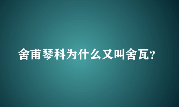 舍甫琴科为什么又叫舍瓦？