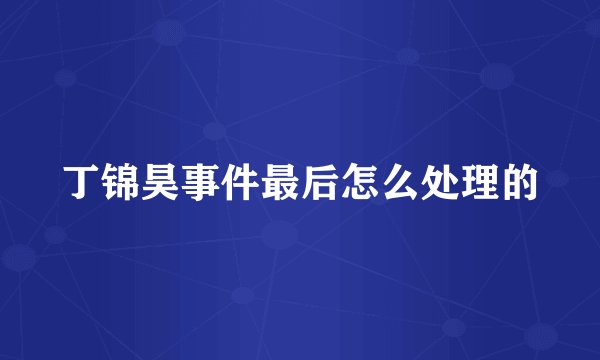 丁锦昊事件最后怎么处理的