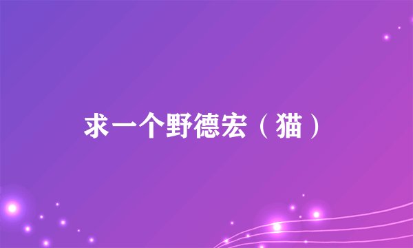 求一个野德宏（猫）