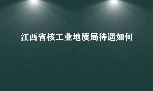 江西省核工业地质局待遇如何