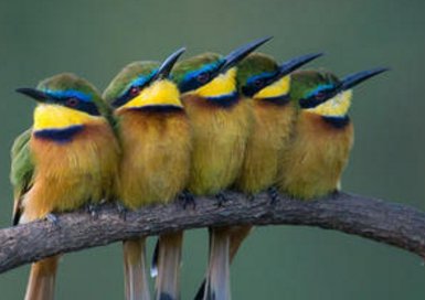 在的拼音怎么拼？