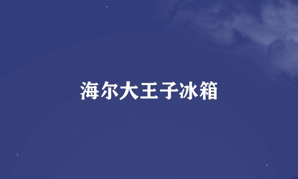 海尔大王子冰箱