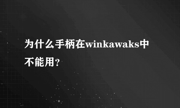 为什么手柄在winkawaks中不能用？