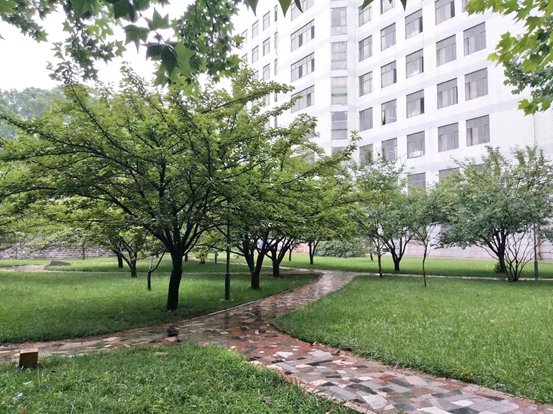 曲阜师范大学怎么样？