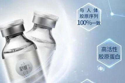 最好的胶原蛋白品牌排行榜