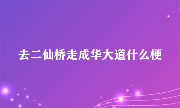 去二仙桥走成华大道什么梗