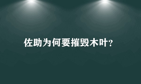 佐助为何要摧毁木叶？
