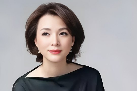 董卿个人资料简介