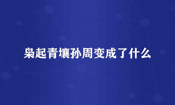 枭起青壤孙周变成了什么