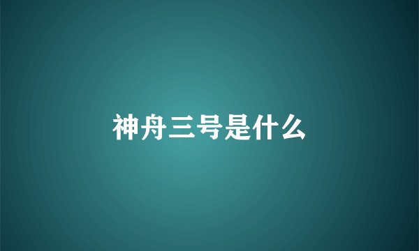 神舟三号是什么