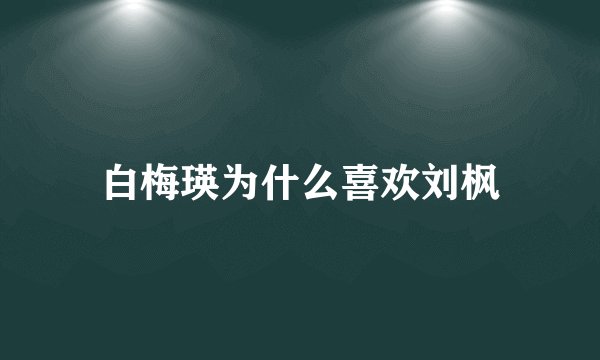 白梅瑛为什么喜欢刘枫