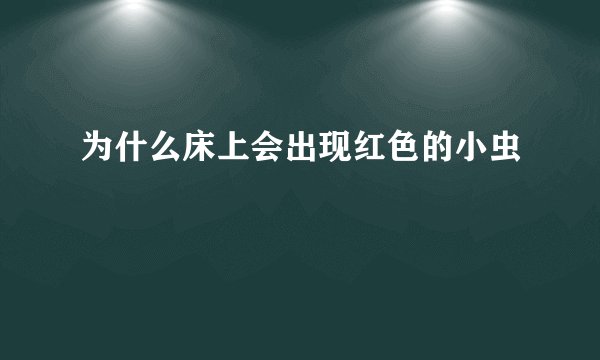 为什么床上会出现红色的小虫