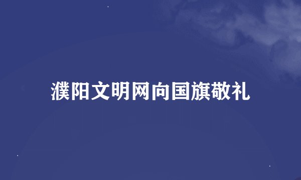 濮阳文明网向国旗敬礼