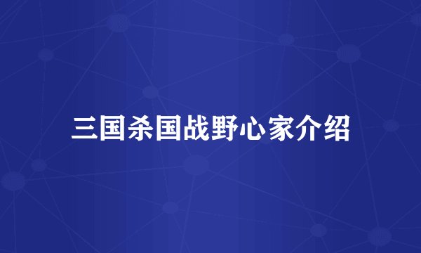 三国杀国战野心家介绍