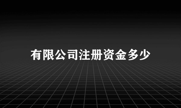 有限公司注册资金多少