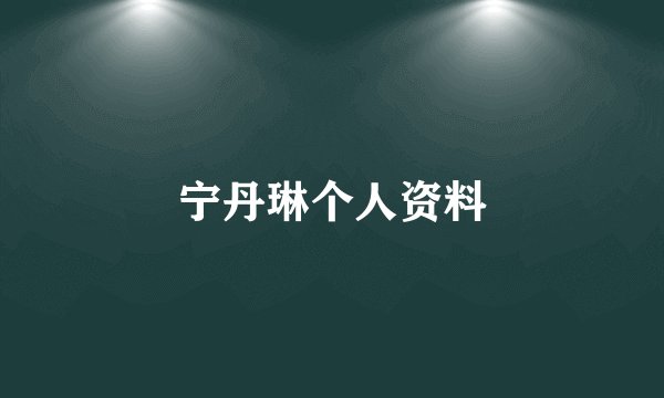 宁丹琳个人资料