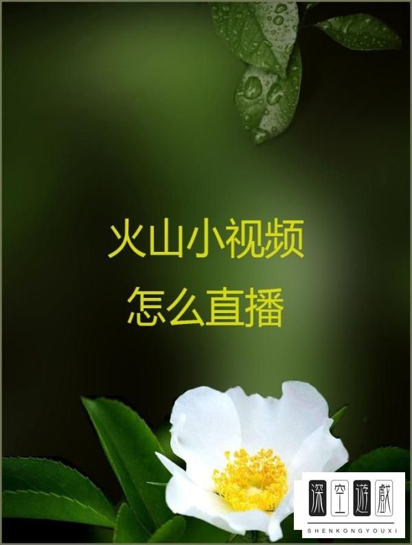火山小视频怎么直播