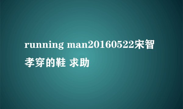 running man20160522宋智孝穿的鞋 求助
