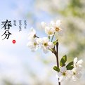 二十四节气分别是什么？