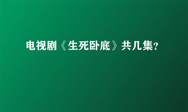 电视剧《生死卧底》共几集？
