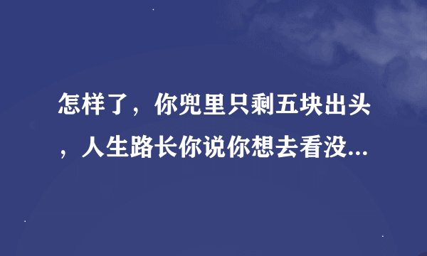 怎样了，你兜里只剩五块出头，人生路长你说你想去看没有边际的海洋……是什么歌？
