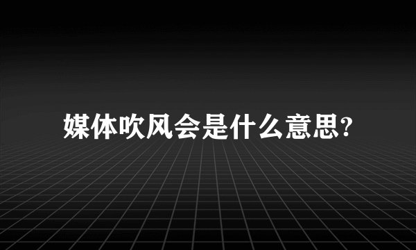 媒体吹风会是什么意思?
