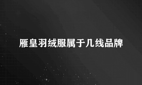 雁皇羽绒服属于几线品牌