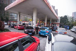 加油站误将柴油当汽油致近200台车“趴窝”，车主们该如何维权？