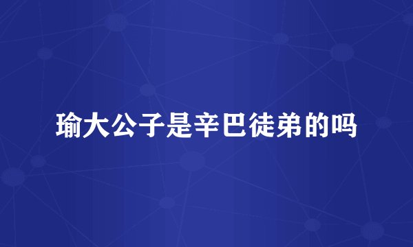 瑜大公子是辛巴徒弟的吗