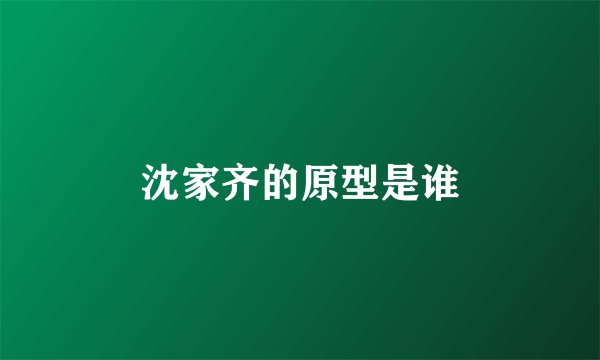 沈家齐的原型是谁