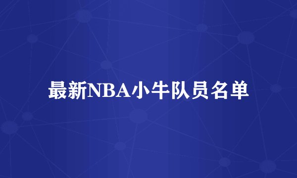 最新NBA小牛队员名单
