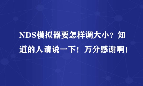 NDS模拟器要怎样调大小？知道的人请说一下！万分感谢啊！