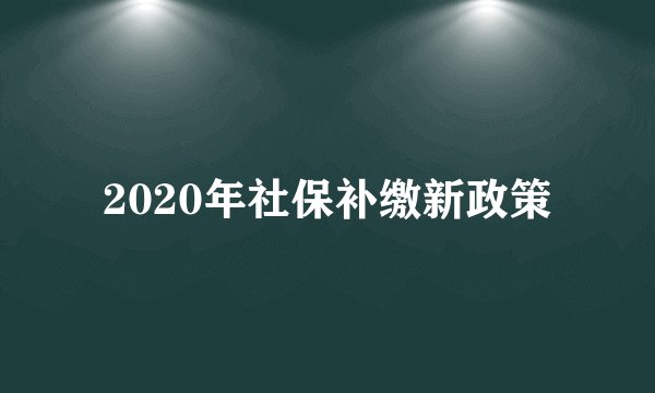 2020年社保补缴新政策